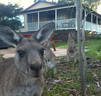 Bush and Bay Cottage - Lennox Head Accommodation