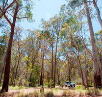 Coolah Tops National Park Camping - Lennox Head Accommodation