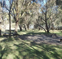 Gungarlin River campground - Lennox Head Accommodation