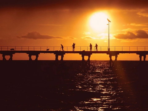 Haslam Campground - Lennox Head Accommodation 1