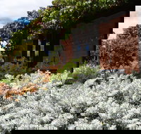 Kangaroos in the Top Paddock - Lennox Head Accommodation