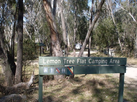 Lemon Tree Flat Campground - Lennox Head Accommodation 0