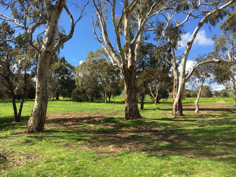 Ocean Valley Paradise - Lennox Head Accommodation 1