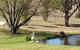 Sapphire City Caravan Park - thumb 2