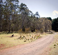 The Pines campground - Lennox Head Accommodation