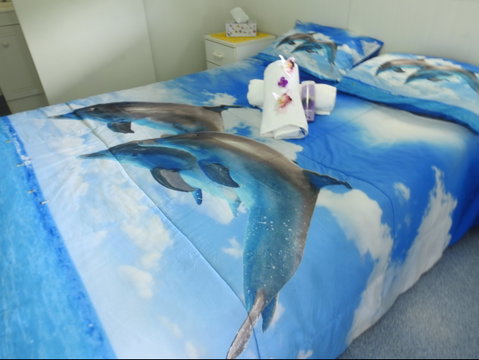 Tropicana Caravan Park Sarina - Lennox Head Accommodation 2