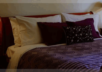Erravilla Country Estate - Lennox Head Accommodation 1
