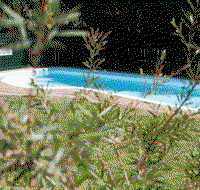 Alluna Motel - Lennox Head Accommodation