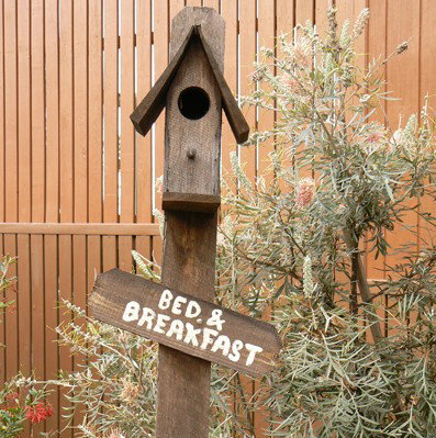 Ashby Cottage - Lennox Head Accommodation 0