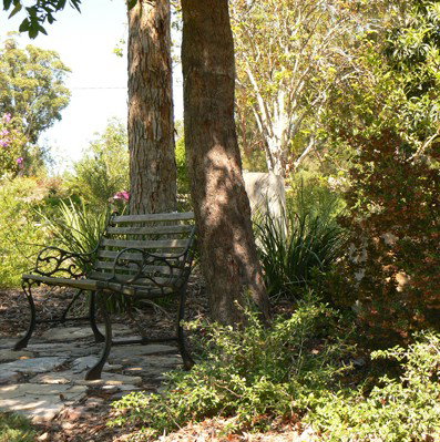 Ashby Cottage - Lennox Head Accommodation 3