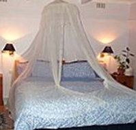 Bondi Beach Garden Sweet - Lennox Head Accommodation