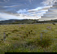 Annas Retreat - Lennox Head Accommodation