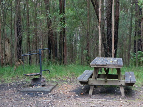 Boundary Falls Campground And Picnic Area - Lennox Head Accommodation 0