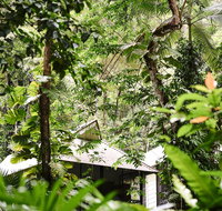 Daintree Ecolodge - Lennox Head Accommodation