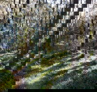 Deua River campgrounds - Lennox Head Accommodation