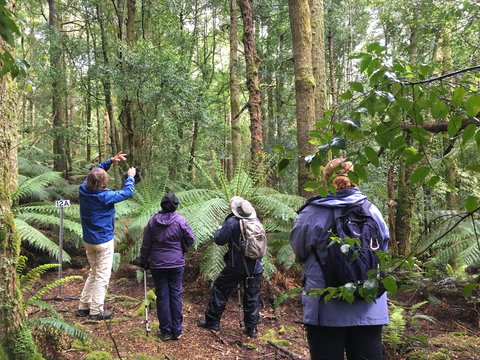 Forest Walks Lodge - Eco-Accommodation - Lennox Head Accommodation 1