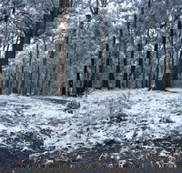 High Peaks Cottages - Lennox Head Accommodation