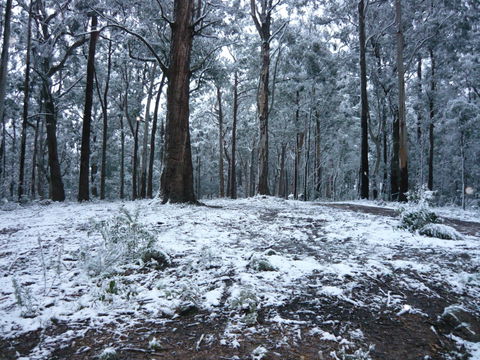 High Peaks Cottages - Lennox Head Accommodation 0