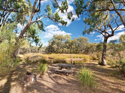 Kings Plains Creek Campground - Lennox Head Accommodation 0