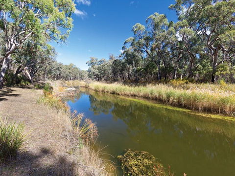 Kings Plains Creek Campground - Lennox Head Accommodation 1