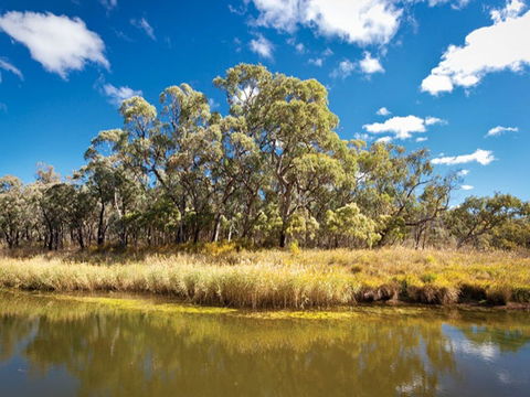 Kings Plains Creek Campground - Lennox Head Accommodation 2