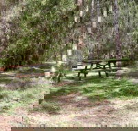Mulloon Creek campground - Lennox Head Accommodation