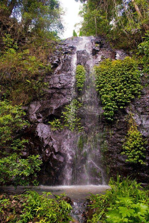 Nimbin Waterfall Retreat - Lennox Head Accommodation 0