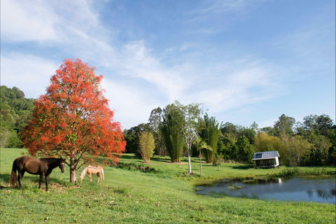 Nimbin Waterfall Retreat - Lennox Head Accommodation 1