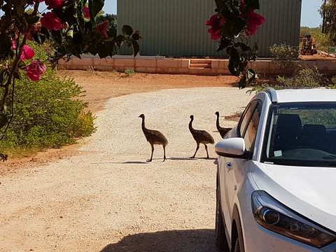 Ningaloo Bed And Breakfast - Lennox Head Accommodation 1