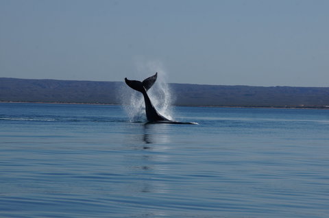 Ningaloo Bed And Breakfast - Lennox Head Accommodation 2