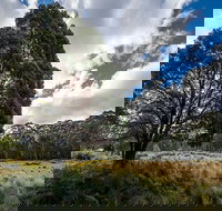 Nunnock campground - Lennox Head Accommodation