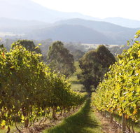 Rosetta's Garden Guesthouse - Lennox Head Accommodation