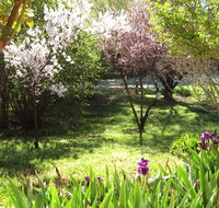Sofala Cottage - Lennox Head Accommodation