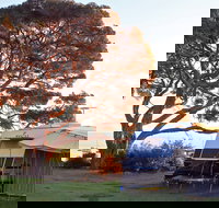 WhiteCliffs to Camerons Bight Foreshore Reserve - Lennox Head Accommodation