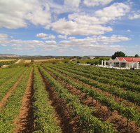 1837 Barossa Luxury Vineyard Cottages - Lennox Head Accommodation