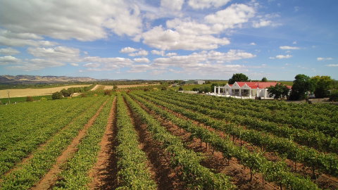 1837 Barossa Luxury Vineyard Cottages - Lennox Head Accommodation 0