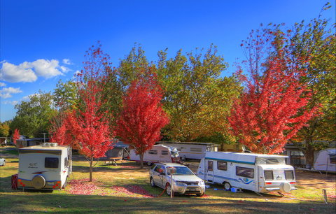 Beechworth Lake Sambell Caravan Park - Lennox Head Accommodation 0