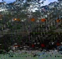 Billabong Retreat - Lennox Head Accommodation