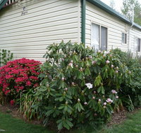 Jenolan Caravan Park - Lennox Head Accommodation