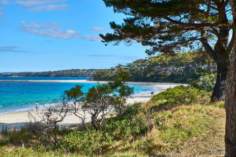 The Beach Jervis Bay - Lennox Head Accommodation 1