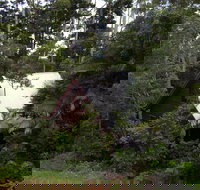 Turkeys Nest Rainforest Cottages Mt Glorious - Lennox Head Accommodation