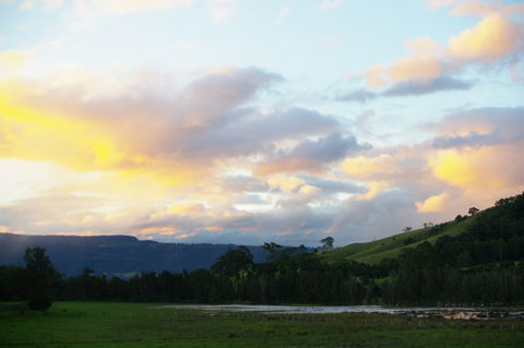 Back Forest Retreat - Lennox Head Accommodation 0