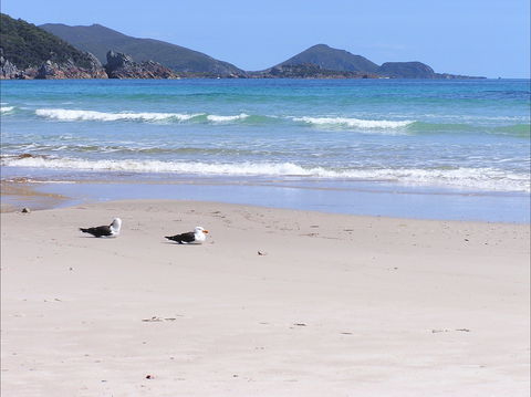 Eagles Rise Tasmania - Lennox Head Accommodation 0