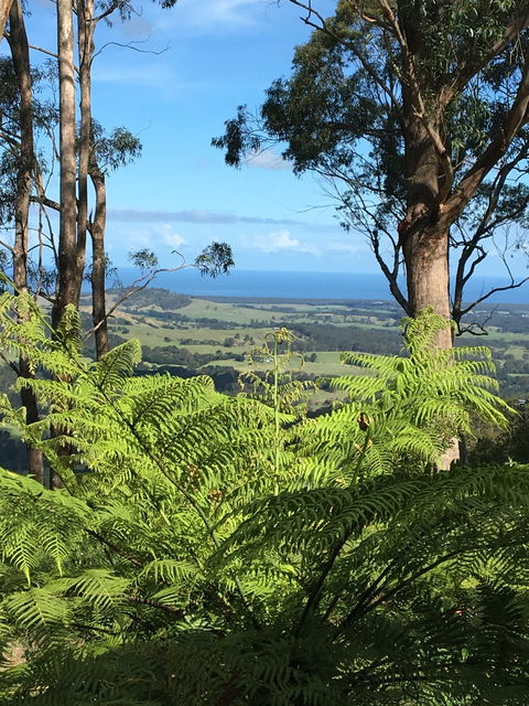 Escarpment - Lennox Head Accommodation 0