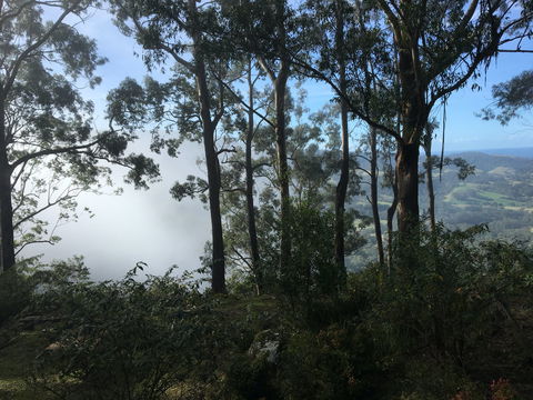 Escarpment - Lennox Head Accommodation 2