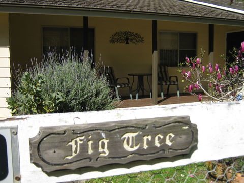 Figtree Cottage - Lennox Head Accommodation 0