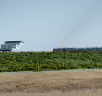 Hounds Run Vineyard - Lennox Head Accommodation