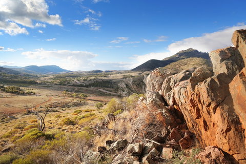 Pichi Richi Park - Lennox Head Accommodation 0