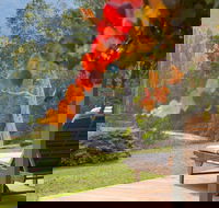 Riverdowns - Lennox Head Accommodation