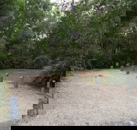 Springbrook National Park camping - Lennox Head Accommodation